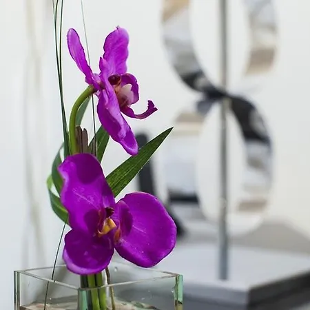 D_loft River * Lissabon